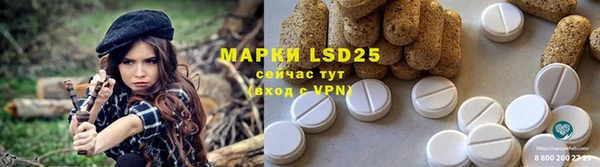 ГАЛЛЮЦИНОГЕННЫЕ ГРИБЫ Арсеньев
