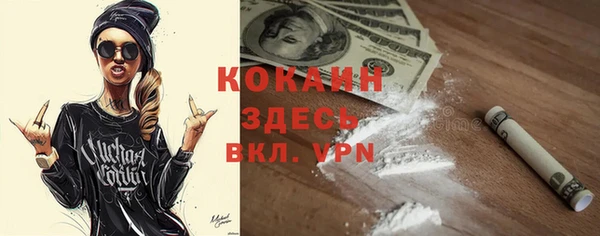 шишки Новозыбков