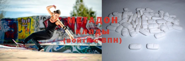 шишки Новозыбков