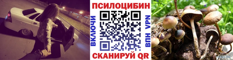 Псилоцибиновые грибы Psilocybine cubensis  Менделеевск 