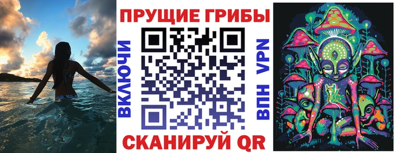 Галлюциногенные грибы Psilocybine cubensis Менделеевск