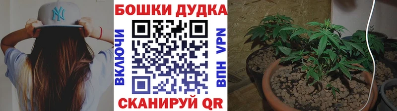Бошки Шишки THC 21%  kraken ONION  Менделеевск  цена наркотик 